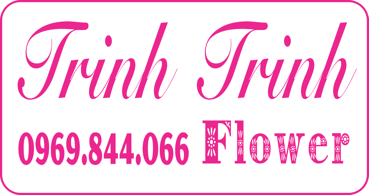 Lan hồ điệp Tân An Long An - Hoa tươi Trinh Trinh