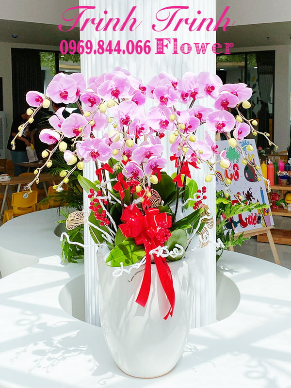 Lan Hồ Điệp Lhd-008 1 Hoa Lan Hồ Điệp Đẹp Ở Tân An, Long An Của Shop Hoa Tươi Trinh Trinh - Tân An - Long An Mã Số Lhd-008